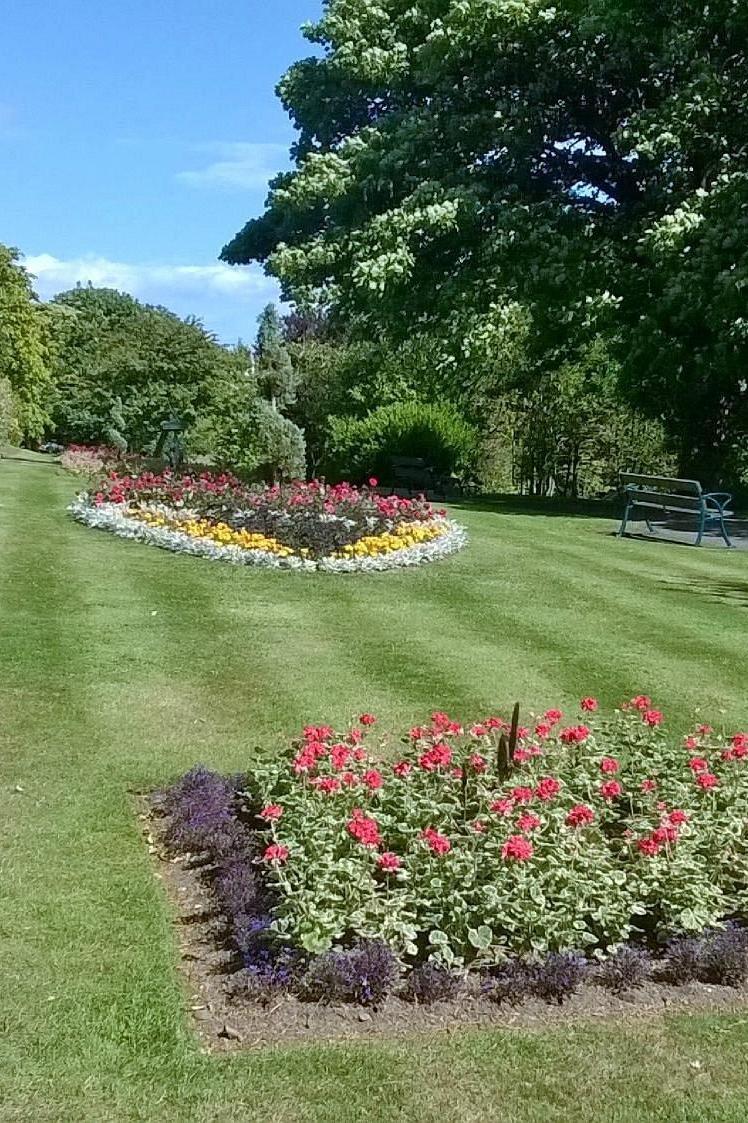 Pannett Park